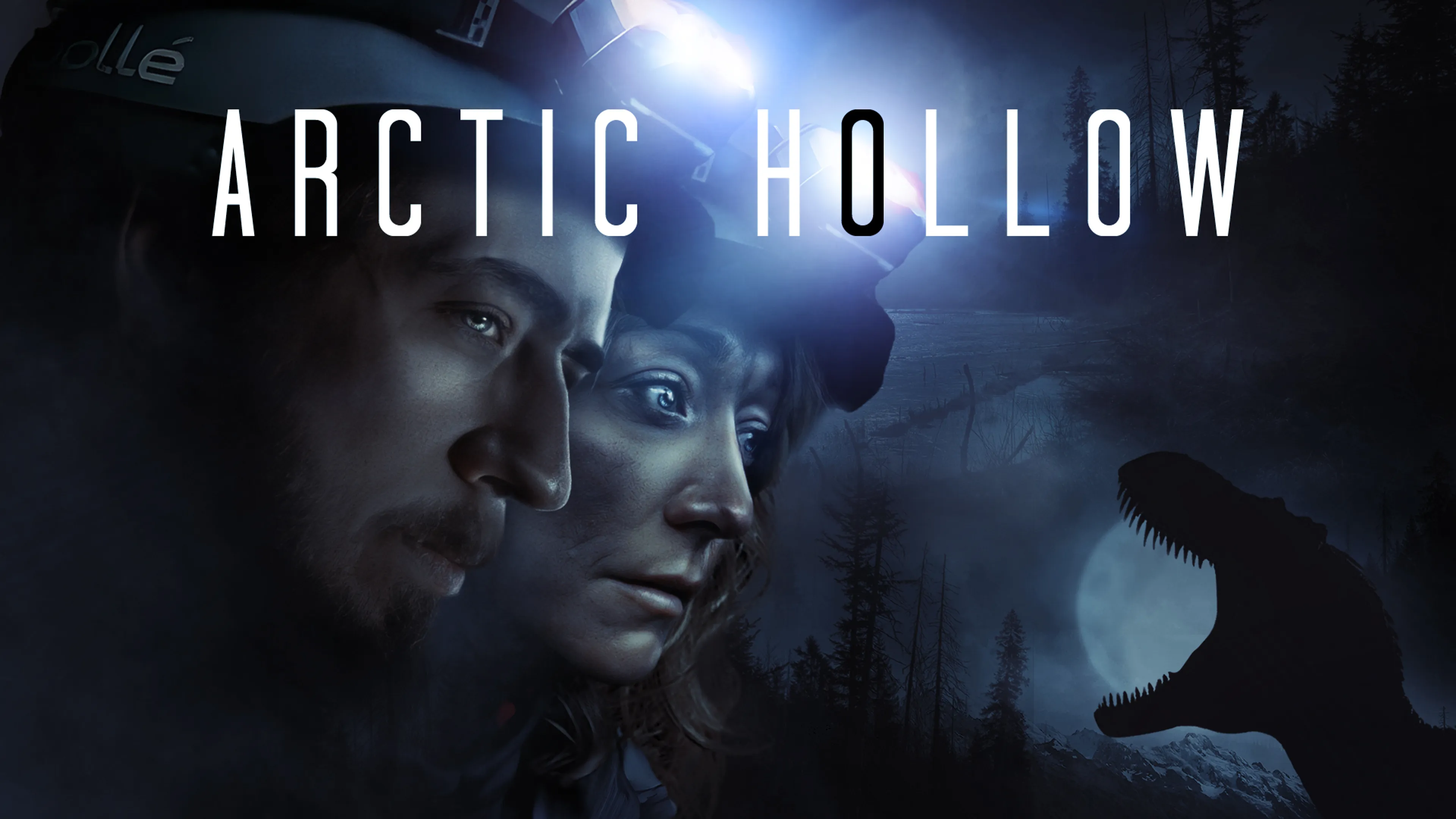 Arctic Hollow poster